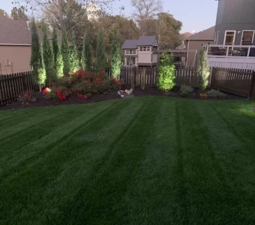 global service lawn care
